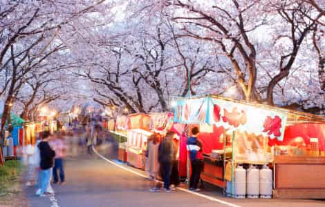 地域行事・活動運営支援の画像